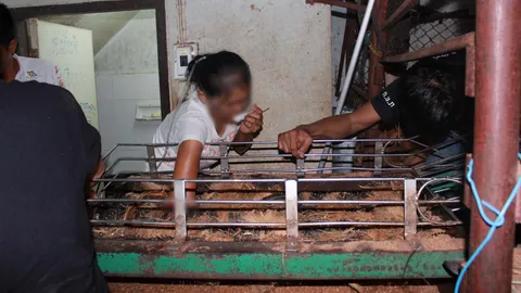 บดกระดูกแหลกครึ่งแขน! ลูกจ้างร้านกะทิ พลาดถูกเครื่องตีใยมะพร้าวดูดมือ