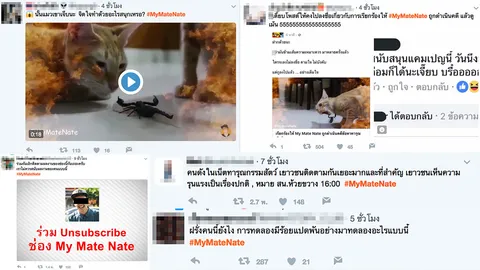 #mymatenate ถล่มฝรั่งทารุณแมว ป่าเถื่อนจนขึ้นเทรนด์ทวิตอันดับ 1 