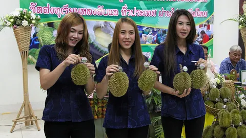 เปิดตำนาน “หลง-หลิน” ทุเรียนอร่อยเมืองลับแล