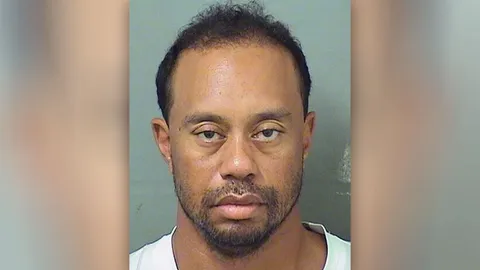 แฉอีก! ‘ไทเกอร์ วูดส์’ บอกเองกินยา ‘ซาแน็กซ์’ ก่อนหลับคารถจนถูกจับ