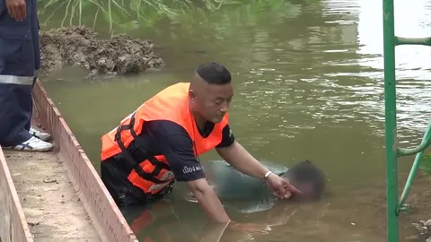 ผงะ ชาวบ้านที่แปดริ้ว เจอศพชายนิรนาม ลอยคว่ำหน้าในคลองท่าไข่  