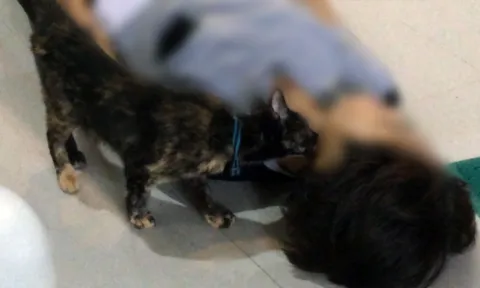 ลาก่อนเจ้านาย! เจ้าเหมียวหอมแก้มสาวผูกคอตาย สั่งลาครั้งสุดท้าย (คลิป)