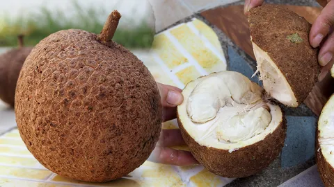 เป็นไปได้ไง! ทุเรียนไร้หนามมีจริง ไฉนไม่ควรซื้อกิน (ชมคลิป)