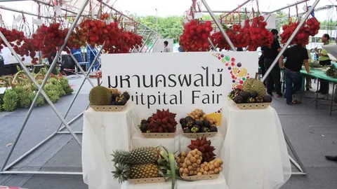 อบจ.จันทบุรี จ่อแจงดราม่า ผู้จัดงานมหานครผลไม้ พรุ่งนี้ (14 มิ.ย.)