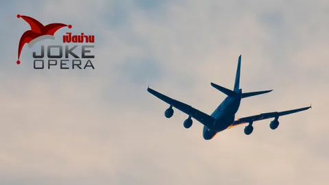 สองหนุ่มสาวทำบัดสี บนเครื่องบินโดยสาร