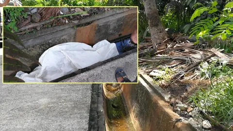 ตกต้นมะพร้าวตาย! เจ้าของร้านข้าวแกงหาดใหญ่ ปีนสอยเอง พลาดร่วงฟาดขอบปูน