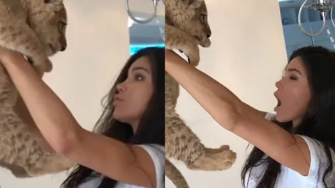 พลาดซะแล้ว! เมื่อลูกสิงโตน้อยไม่ไว้หน้า ฉี่ใส่หน้านางแบบสุดเอ็กซ์ (ชมคลิป)