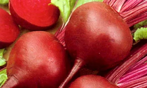 หัวผักกาดแดงปราบความดันโลหิตสูง ลดลงในชั่วโมงเดียว