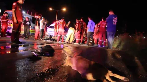 หนุ่มขี่จยย.ไปหาแฟน หมาเจ้ากรรมวิ่งตัดหน้า ชนตายไปด้วยกัน 2 ศพ