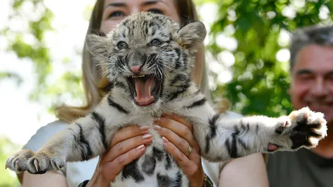 ไม่ได้กินนมแม่