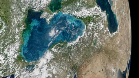 สีเทอร์ควอยซ์ในทะเลดำเกิดจากแพลงก์ตอนพืช