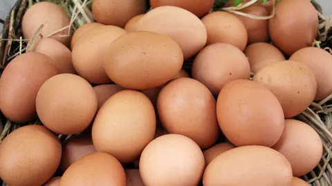 ประเทศไทยถูกหวยไข้หวัดนก เกาหลีใต้นำเข้าไข่ไก่พุ่งทะลัก