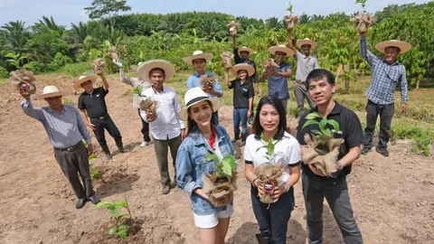 เนสกาแฟชูกลยุทธ์ "กาแฟคุณภาพ" ส่งต่อต้นกล้าพันธุ์ดีเกษตรกร