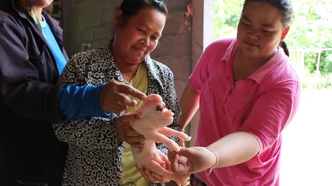 ตะลึง! พบลูกหมูประหลาด มีงวงช้างกลางหัว ชาวบ้านขอหวยเหมือนเคย(คลิป)