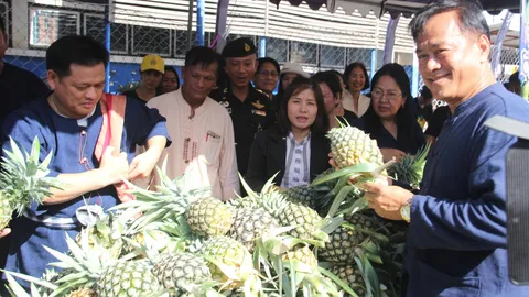 พ่อเมืองลับแลโปรโมท 'สับปะรดห้วยมุ่น' ผุด 7 มาตรการระบายผลผลิต