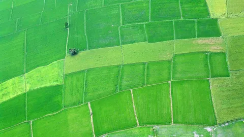 ธนารักษ์ประเคน 6 พันไร่บูมอีอีซี ใน 3 พื้นที่สร้างความมั่นใจให้นักลงทุนต่างชาติ