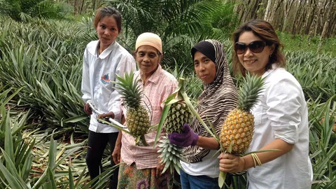 ตัดสับปะรดทูอินวัน นาทีละ 10 ผล