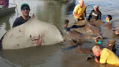 ทัวร์ต่างชาติ VS การศึกษา ดราม่าฝรั่งตกปลากระเบนราหูที่แม่กลอง 