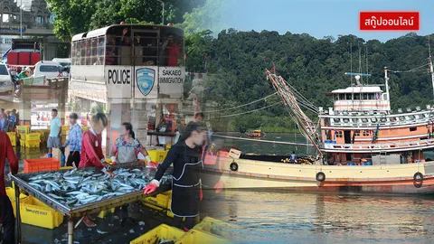 คลี่ก.ม.ต่างด้าวใหม่ เกษตร-ประมงอ่วม แรงงานขาด นายจ้างทุนน้อยต้องทำใจ