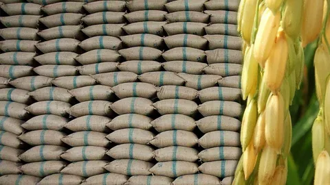 ช่วงขาขึ้น! พาณิชย์มั่นใจปีนี้ส่งออกข้าวสูงถึง 11 ล้านตัน