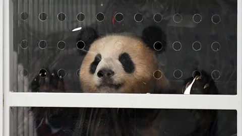 ย้ายมาอยู่เมืองเบียร์