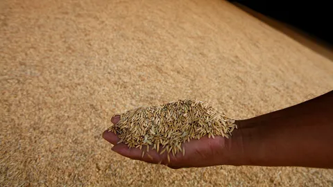 อคส.สยบข่าวลือ ระบุชัดไม่มีข้าวเสื่อมปะปนมาขายให้ผู้บริโภค