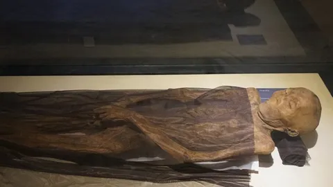 จีนตะลึง เจอมัมมี่เพศชาย คาดอายุนับ 1.7พันปี สภาพสมบูรณ์สุดๆ