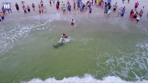 ชมคลิปสุดระทึก! หนุ่มสุดห่าม ลากฉลามหัวค้อนตัวเบิ้มขึ้นฝั่ง 