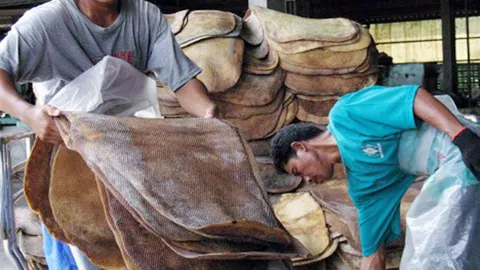 5 เสือส่งออกตั้งกองทุนหนุนราคายาง