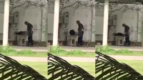 ตะลึง! คนข่มขืนหมา เหตุเกิดที่พังงา คาดเป็นคนวิกลจริตกำลังล่าตัว (คลิป)