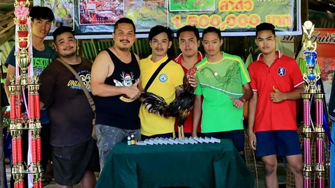 ไม่รักพี่ไม่มา เสี่ยเฉิ่ม โคราช หอบเงินล้านห้า ซื้อไก่เก่งศรีสะเกษ  