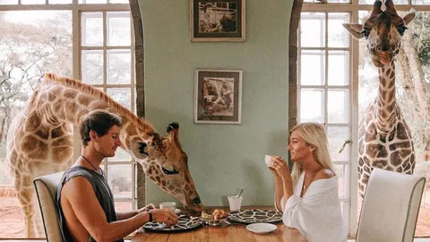 ไม่ใช่ฝันกลางวัน!! ลาออกจากงานประจำ ไปเที่ยวรอบโลกกัน