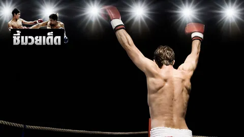 ชี้มวยเด็ด 10/07/60