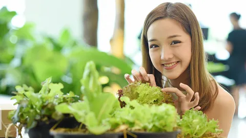 "จิด้า MBO" ปลูกผัก!!