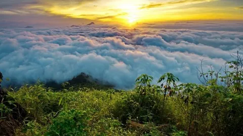 นทท.ขึ้นดอยผาตั้ง เชียงราย เก็บภาพทะเลหมอกที่สวยงามช่วงหยุดยาว 3 วัน