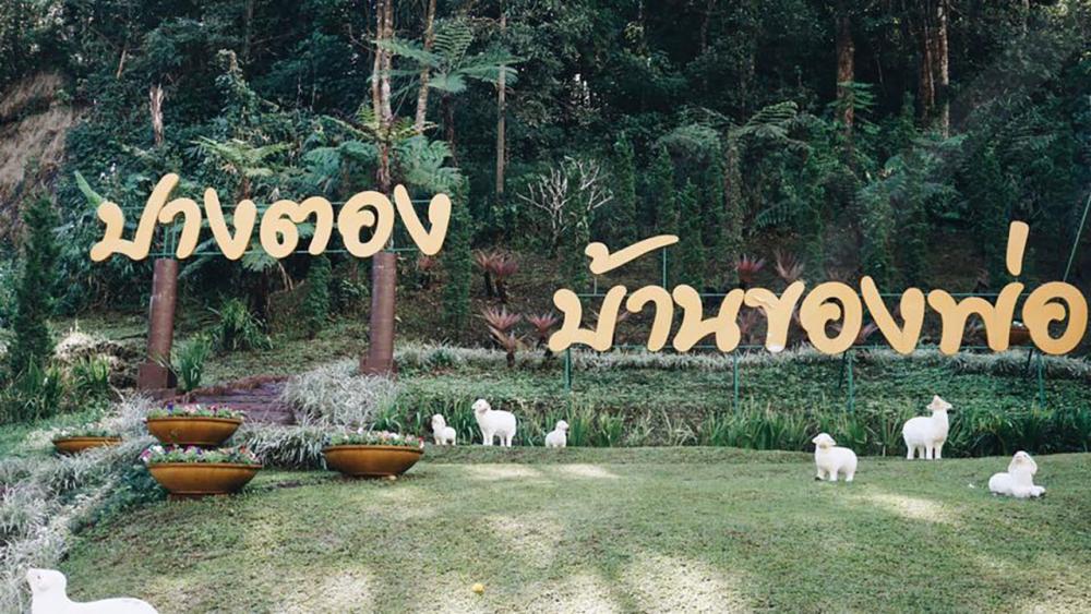 ปางตอง