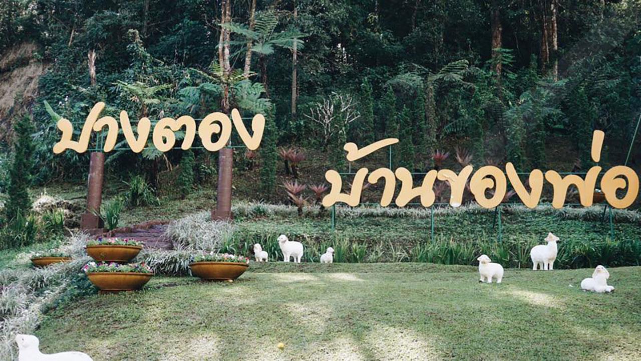 ปางตอง