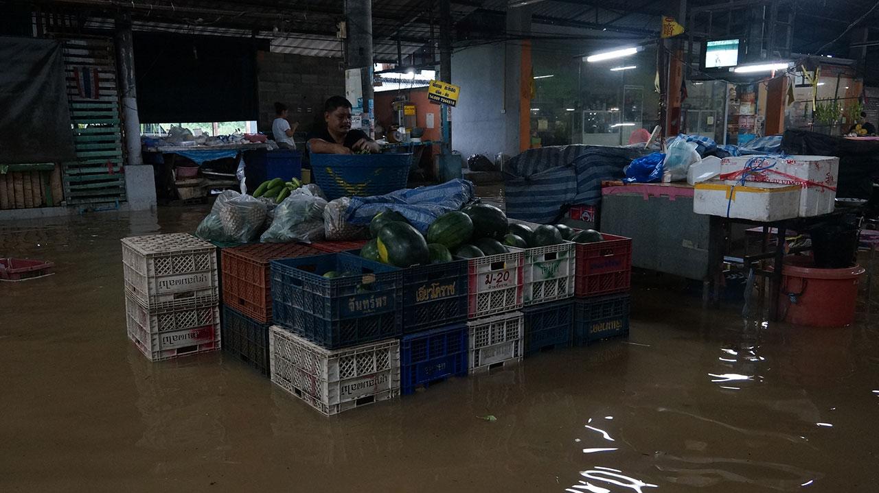 ตลาดดาวซีฟูดซ์ ต.บ่อผุด