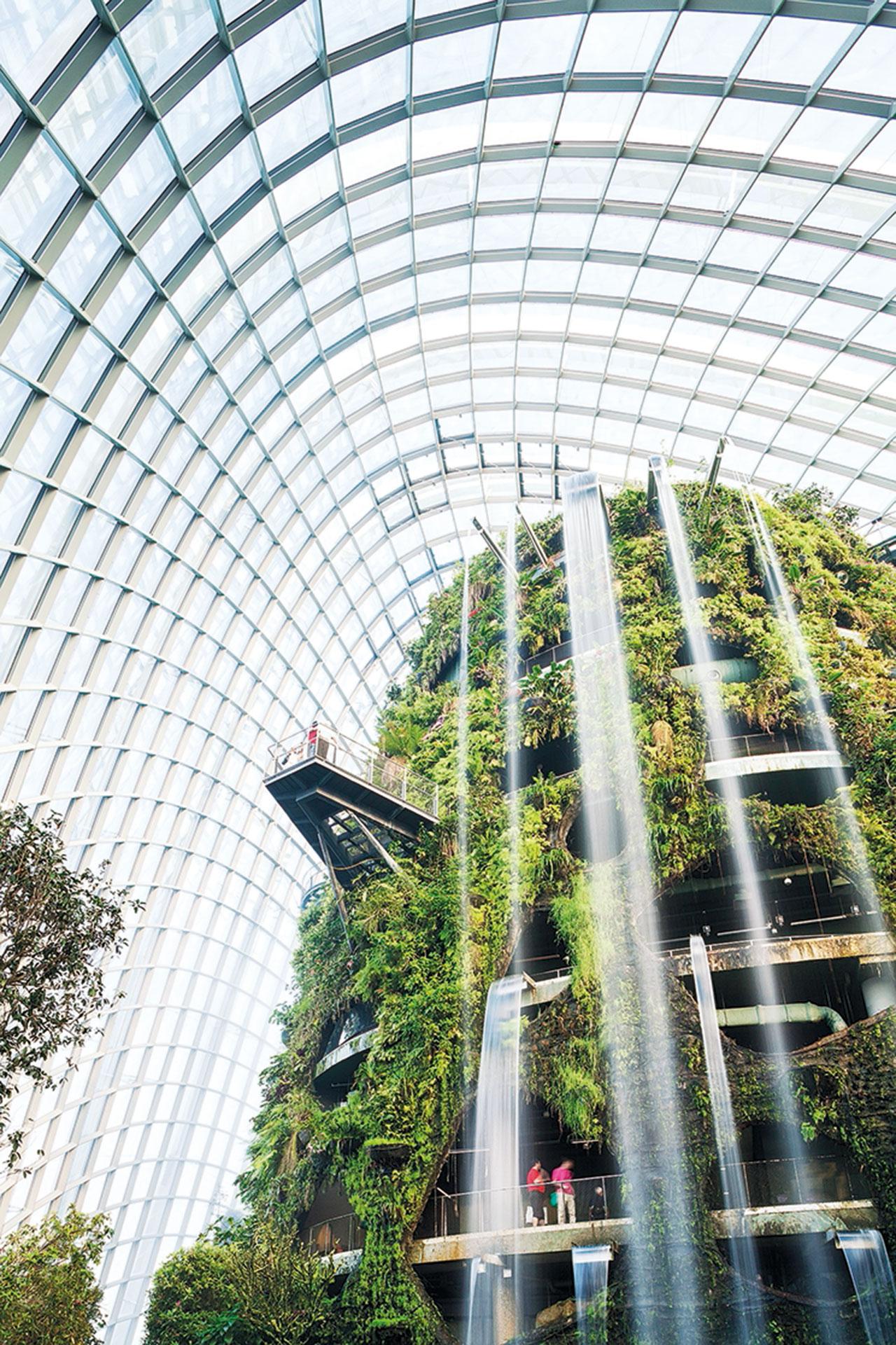 ผนังสวนน้ำตกภายใน Gardens by the Bay ประเทศสิงคโปร์ เป็นตัวอย่างที่ดีของการจัดสวนคู่ไปกับสวนแนวตั้งขนาดยักษ์ที่มีการดูแล และควบคุมความชื้นที่ดีอย่างสม่ำเสมอ