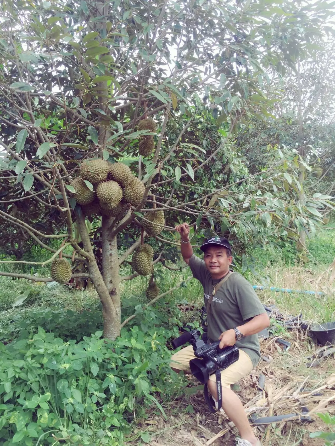 สระบุรีก็มีหมอนทองนะจ๊ะ! หนุ่มชาวไร่ทดลองปลูกทุเรียนได้ผลผลิตดีเกินคาด
