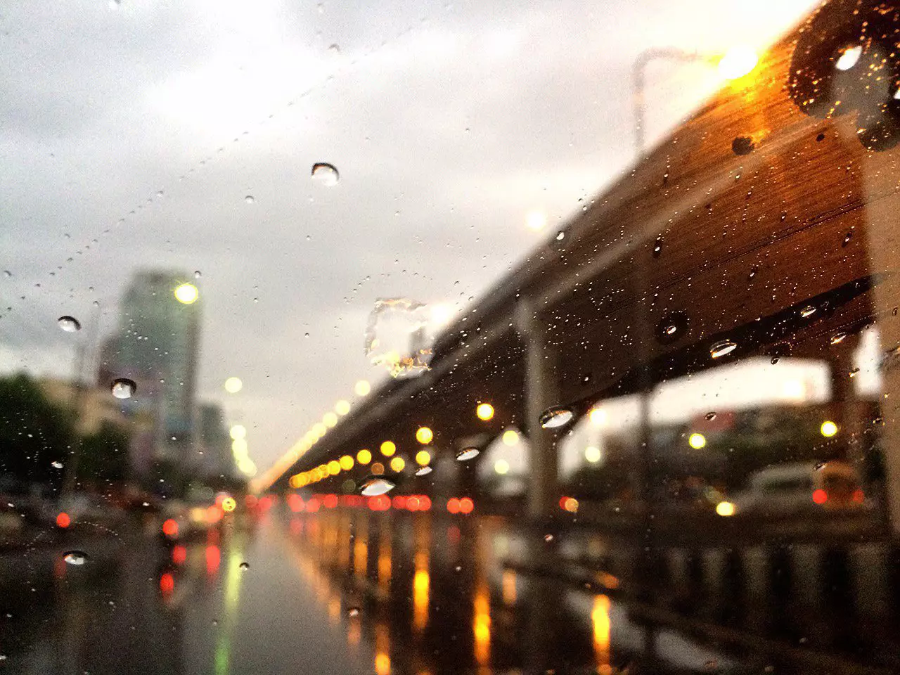 ภัยเงียบหน้าฝน! เห็บหมากัดคน น่ากลัวกว่าที่คิด มีลูกเล็กต้องระวัง