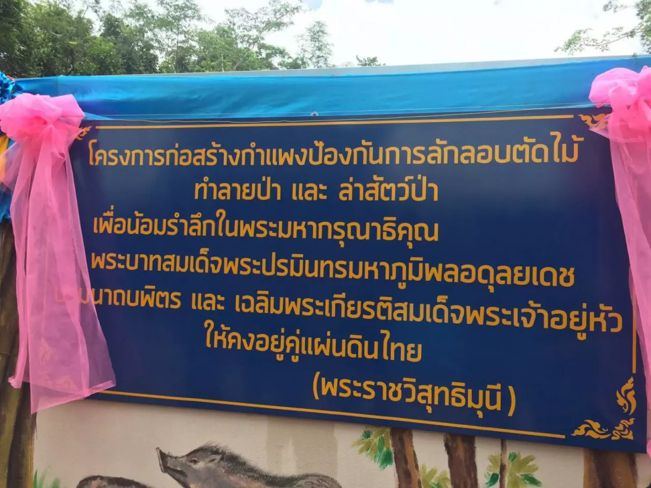 องคมนตรี ลงพื้นที่ติดตามโครงการอนุรักษ์พื้นที่ป่าไม้ต้นแบบ จ.สุรินทร์