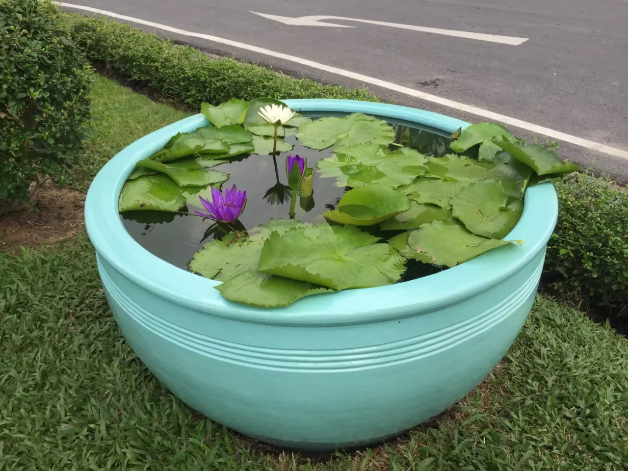 'วิลาศ' เผย นายกฯ ใช้เงินส่วนตัวสั่งเปลี่ยนอ่างบัว เสริมสิริมงคล