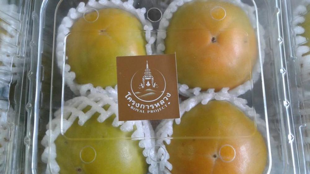 บ้วย พีช พลัม กำลังออกสู่ตลาดเร็วๆนี้