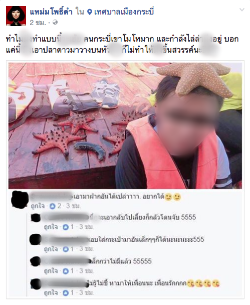 เพจดังวิจารณ์นักท่องเที่ยวสาวทอม จับปลาดาวขึ้นมาเซลฟี่