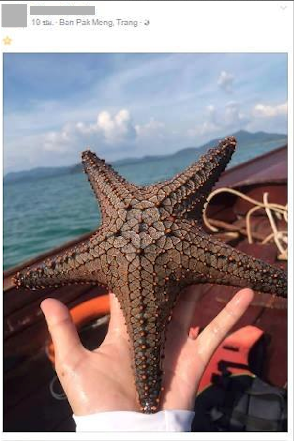 ภาพถ่ายขณะอยู่บนเรือใน จ.ตรัง