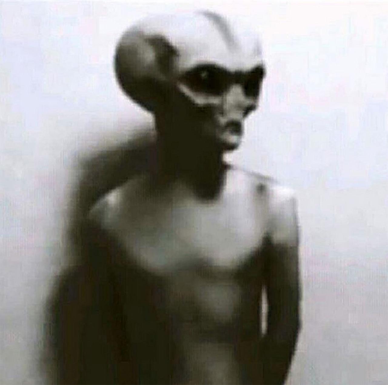 инопланетяне в реальной жизни. как выглядят реальные инопланетяне. пришельцы инопланетяне гуманоиды. как выглядят реальные инопланетяне. человекоподобные инопланетяне.