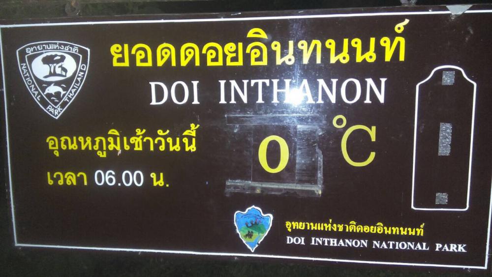 หนาวได้ใจ 0 องศาฯ บนยอดดอยอินทนนท์