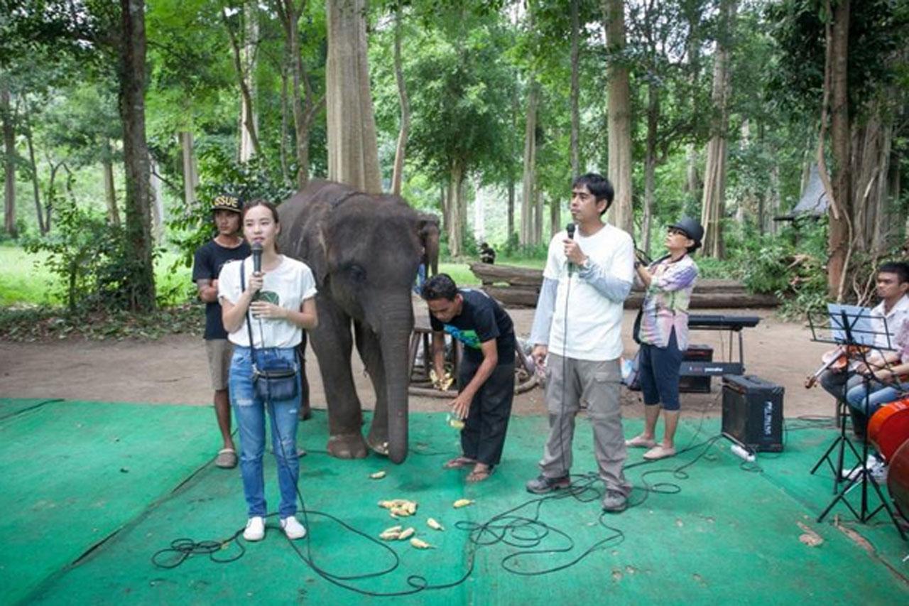 เต้ย ช่วยช้าง