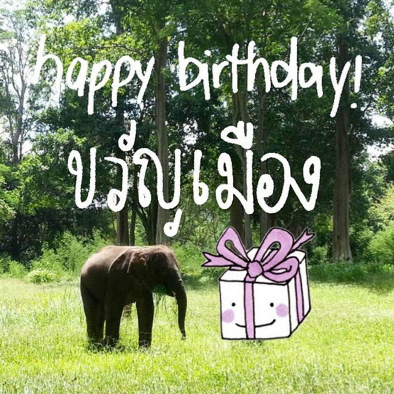 เต้ย แฮปปี้เบิร์ธเดย์ช้างขวัญเมือง